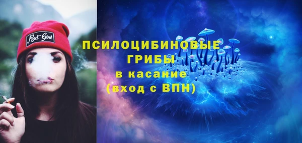 мяу мяу мука Балабаново