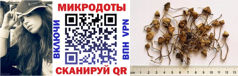 Галлюциногенные грибы мухоморы  Буинск 